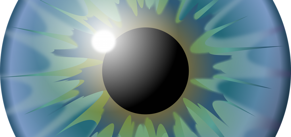 das Auge