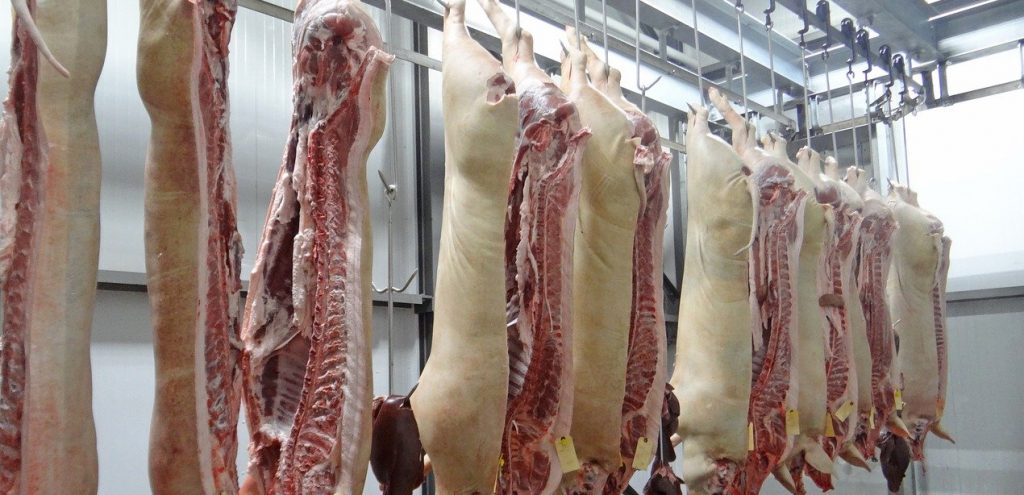 Schweinehälfte